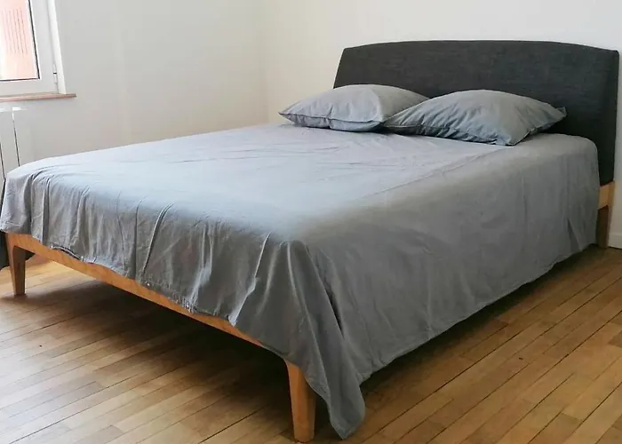 Apartament F2 Coeur De Bellle Vue Vichy